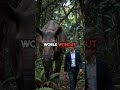 This Giant Ancient Rhino Was Taller Than Giraffes and Weighed 4 Elephants!