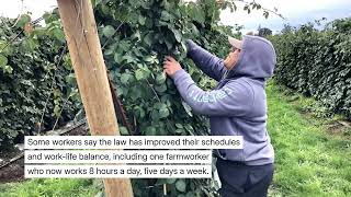 ‘Did we do this right’ fight brewing over divisive Oregon farmworker overtime protections