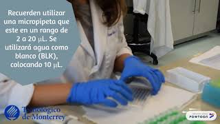 Determinación de proteína total por Bradford Determinación de proteína total por Bradford