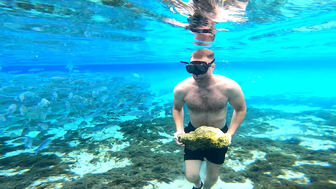 Top 5 Bluest and Clearest Waters in Florida