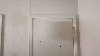Got DOOR PROBLEMS in your Pier and Beam Home?
