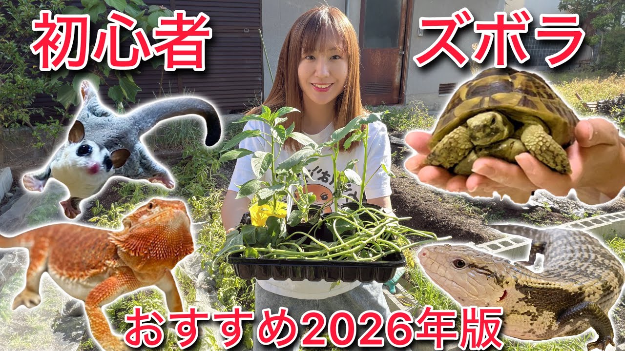 植えるだけ！手間いらずの生き物達の為の野菜作り