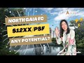 North gaia ec all you need to know potential and exit strategy