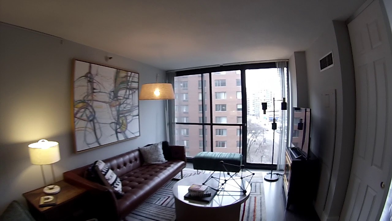 South Loop Chicago Apartments 777 S State Convertible Model Apt