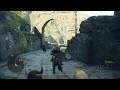 Dragon's Dogma bonk