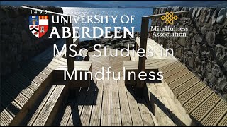 MSc Studies in Mindfulness