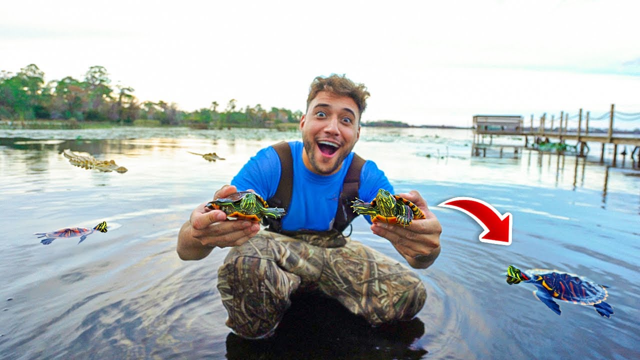 SOLTANDO minhas TARTARUGAS no LAGO pela PRIMEIRA VEZ