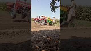 Mf 260 Stanadyne Pump Potato Planter Performance  Mf 260
