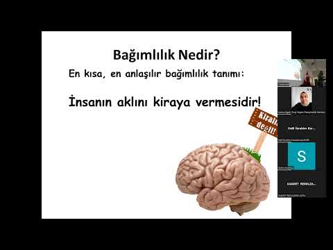 Video: Kediler neden kaba dilleri var?