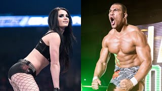 9 Carreras De Luchadores Que Acabaron Antes De Tiempo