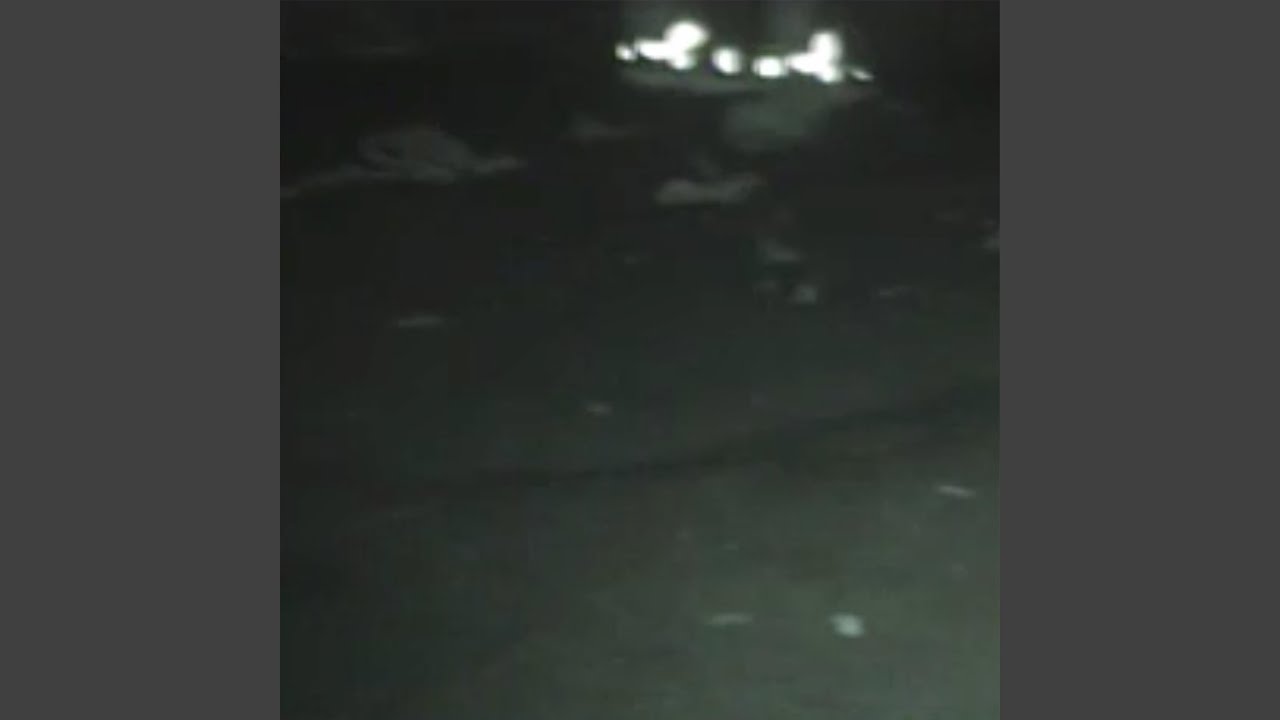 Watch Lost Boy on YouTube Watch Lost Boy on YouTube