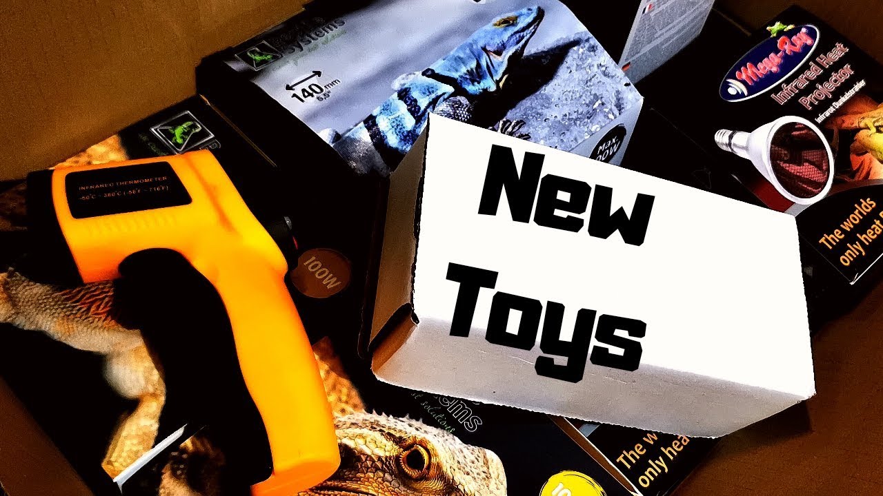 Mega Reptile Haul !!! What Did I Get? - YouTube
