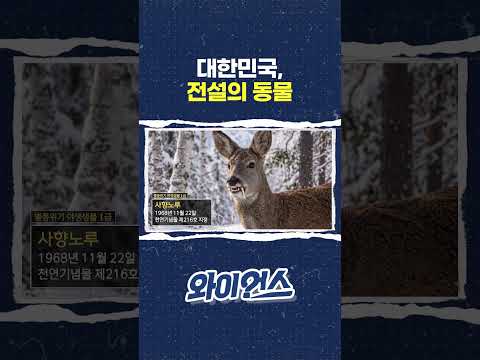 대한민국 전설의 동물 #shorts