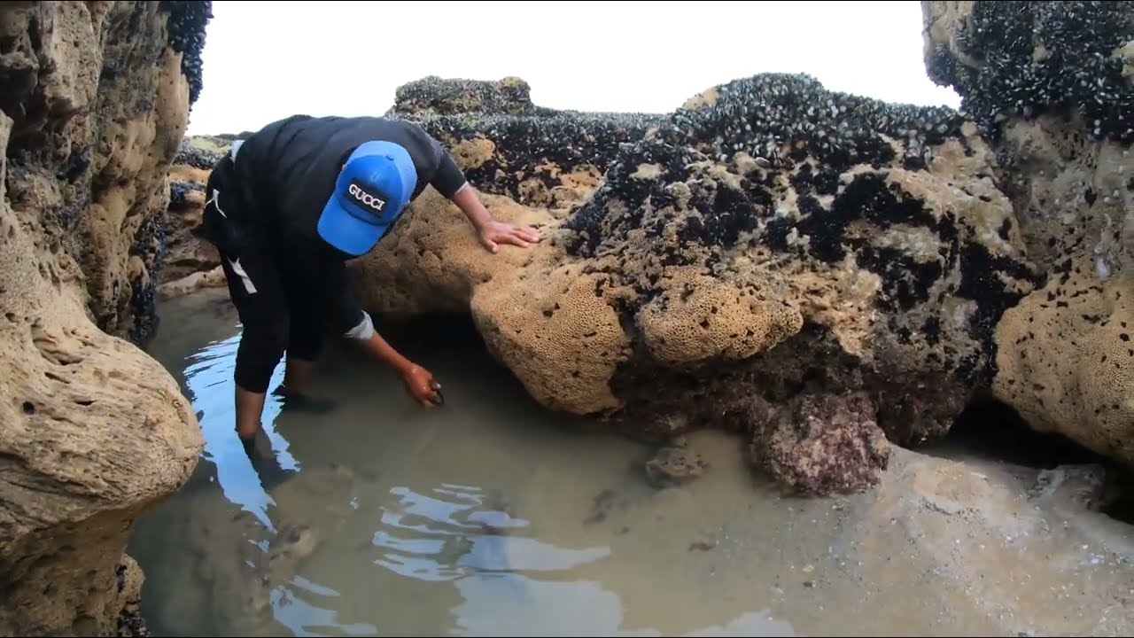 رحلة الصيد بالقصبة Vlog 1 طريقة جمع عكريش في الصحراء#fisherman_oualidia