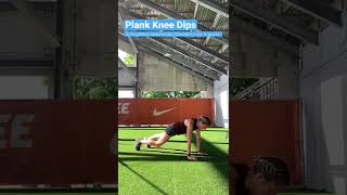 Core Strength - Plank Knee Dips