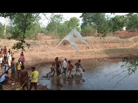 पेनशक्तियो का स्नान: Culture of Gondwana - हारामी कुटुंब पिढी पेन काम ,अडमागोंदी CG