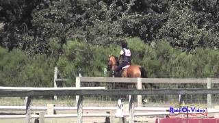 Famous 146XC Isabella Leeves Coben JR Beginner Novice Rider Show Jumping Shepherd Ranch June 2013 (HD) Profile