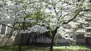 Sometimes It Snows In April