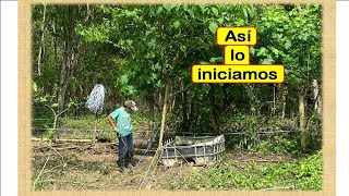 Cómo comenzamos un potrero en Ganadería Regenerativa