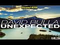 [SLOWED] #250 : David Bulla - Unexpected | Progressive House | [NCS Release | Remake]