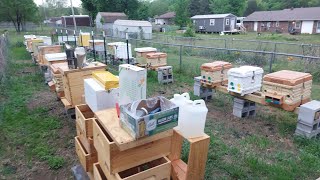 April 14th Apiary Progress