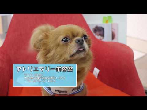 サブイボマスク応援動画　中津市日の出町　アトリエマリー美容室