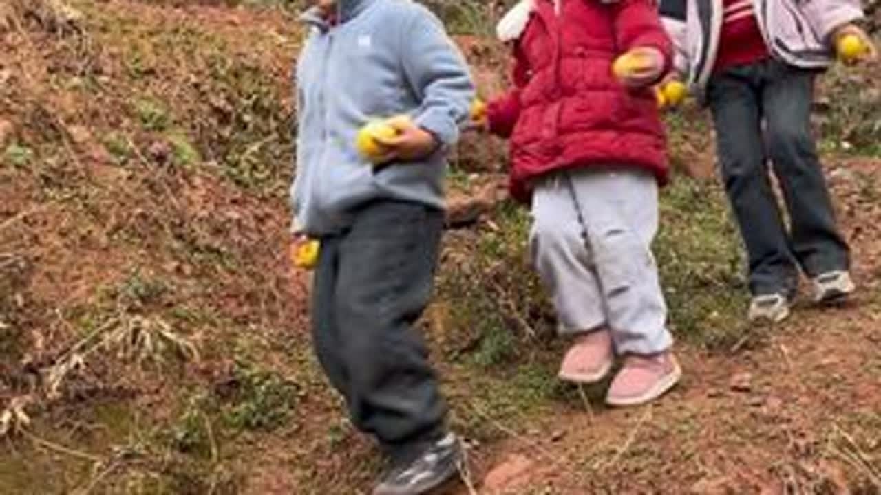 几个熊孩子找到了一个漏网之橘子，摘了几个说好吃，然后冒着大雨又去那里摘！收获满满！果然这就是童年的样子！#原创视频 #用抖音记录人生 #我的乡村生活 #大山里的原生态 #记录我们的民族风俗 @抖...