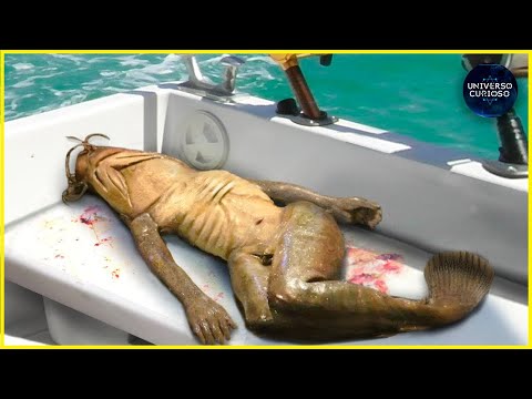 Vídeo: Em Porto Rico, Uma Criatura Flutuante Semelhante A Uma Sereia Foi Filmada Na água - Visão Alternativa