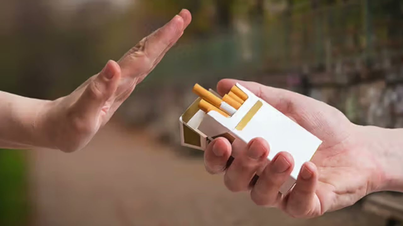 Quiet Piggy | Pizzagate | Charlie Sheen