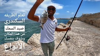 ? مباشر صيد الأسماك من اقوى أماكن صيد السمك فى الإسكندرية