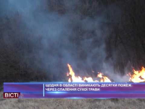 Щодня в області виникають десятки пожеж через спалення сухої трави