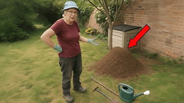 She Thought It Was a Normal Ants’ Nest Until It Grew Bigger, Then Experts Told Her the Truth