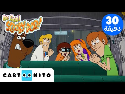 تمالك نفسك سكوبي دو Be Cool Scooby Doo دائما في الوقت الخطأ كارتونيتو 