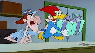 Woody Woodpecker Show | Signed, Sealed, Delivered | Full Episode | Cartoons For Children HD