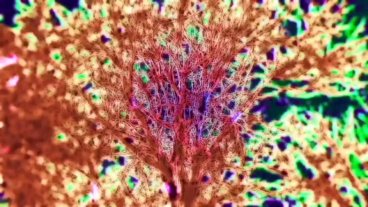 whilst sweetness & light did this land o'ershadow