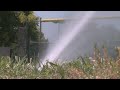 Irrigation pilot project at West Side park producing good results Irrigation pilot project at West Side park producing good results