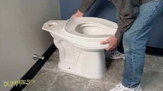 How to Fix a Leaky Toilet For Dummies