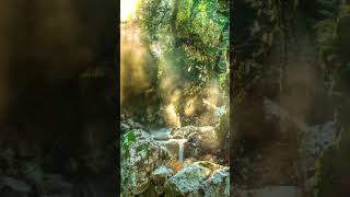 Relaxation Ii Balance Of Natural Rhythms