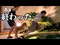 【許しません】連日豪雨の中、柴犬の一撃で冷たい水に突き落とされた結果…のサムネイル