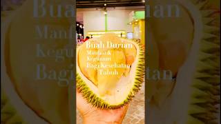 Manfaat dan Kegunaan Buah Durian Bagi Kesehatan Tubuh