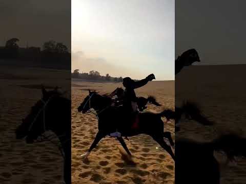 فتى يخوض غمار الحرب مبتسما تصميم روعة خليل البلوشي