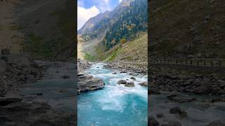 #travel #nature #mountains #love #shorts#viralshorts #trending #like#pahadi #beauty #live#beautiful