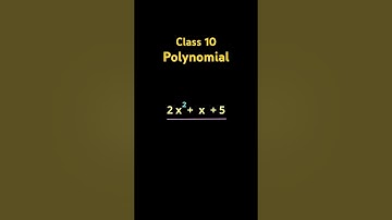 What is a Polynomial? | Easy Explanation for Class 9 & 10 Maths | Algebra Basics