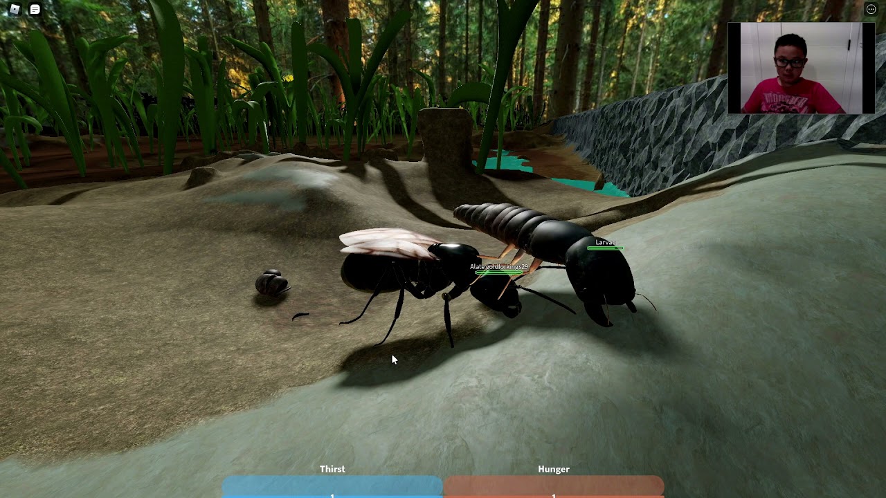 Roblox Ant Life I Got Alate YouTube 