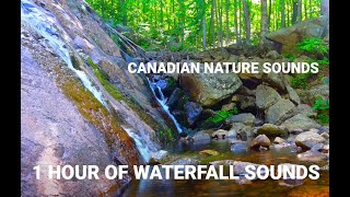 See description to enter contest! Relax to the soothing sounds of Gatineau Park's Luskville falls.