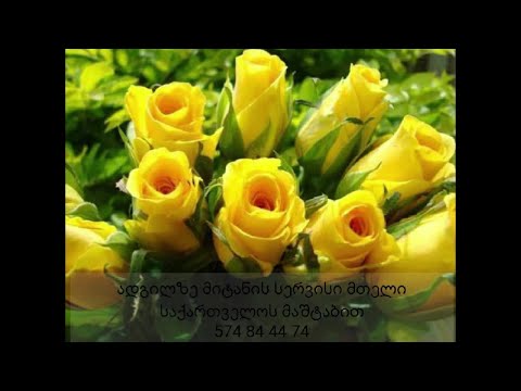 ნერგების მიტანა ხდებასაქართველოს მაშტაბით 574 84 44 74