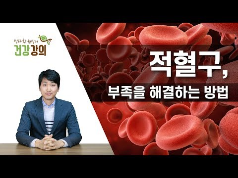 [방태환 원장의 건강 강의] 적혈구의 부족을 해결하는 방법