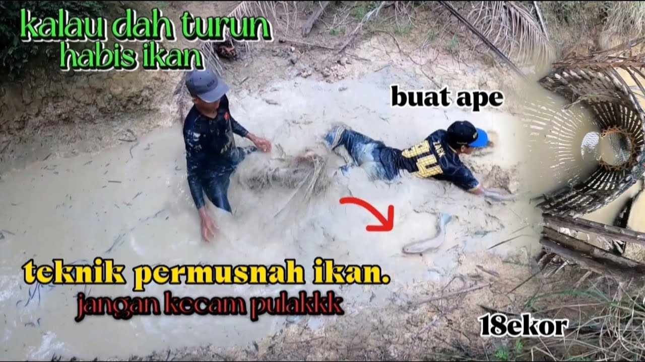 REzeki IBU LEPAS BERSALIN ‼️18ekor berjaya ditewaskan..