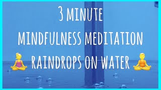 3 Minute Mindfulness Meditation (Raindrops On Water) #relax screenshot 4