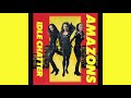 AMAZONS「ドアを開けて」1991